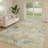 Machine Washable Indoor/Outdoor Chantille ACN2748 Paisley Rug-1992006199-1992006205