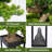 Artificial Bonsai Tree With Metal Bracket