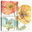 Harnek Spring Softies III