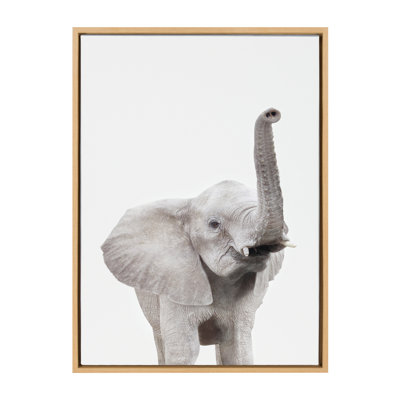 Animal Studio Elephant by Amy Peterson Framed Canvas Wall Art Print