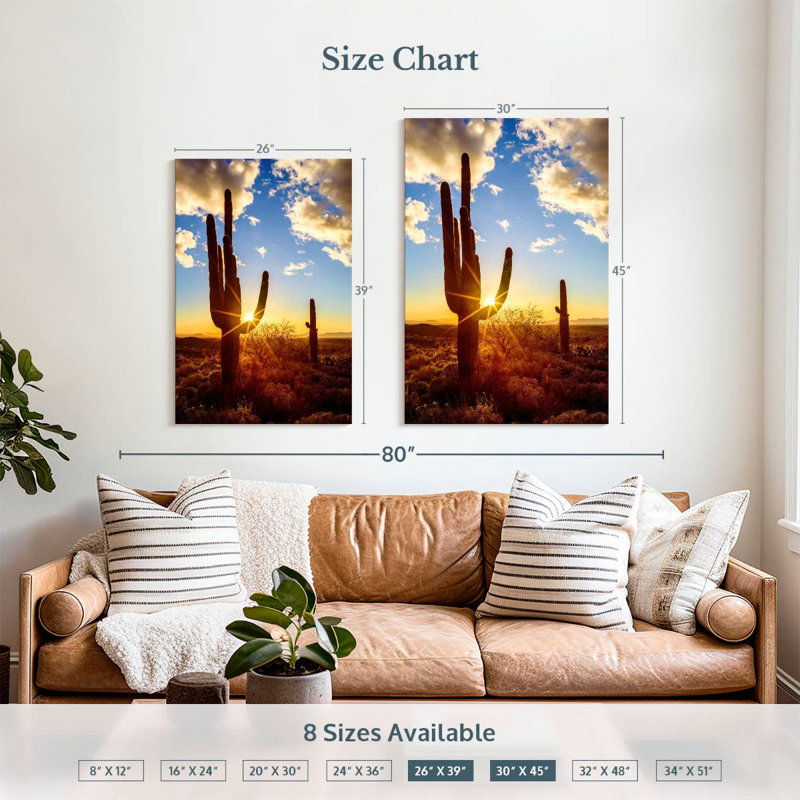Parc national Aime Saguaro Est V, H 39 po x l 26 po