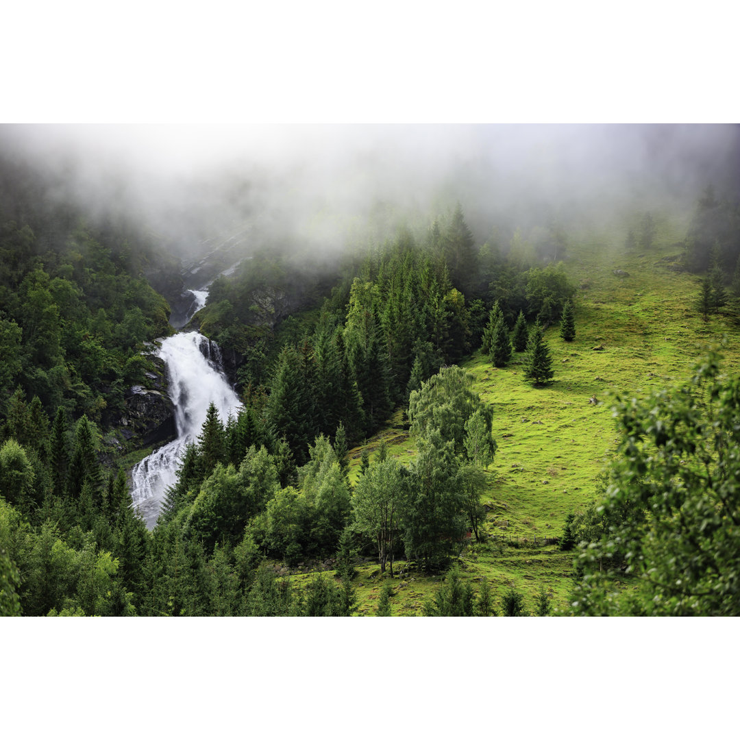 Wasserfall im Wald von Adam Smigielski - Kunstdrucke auf Leinwand