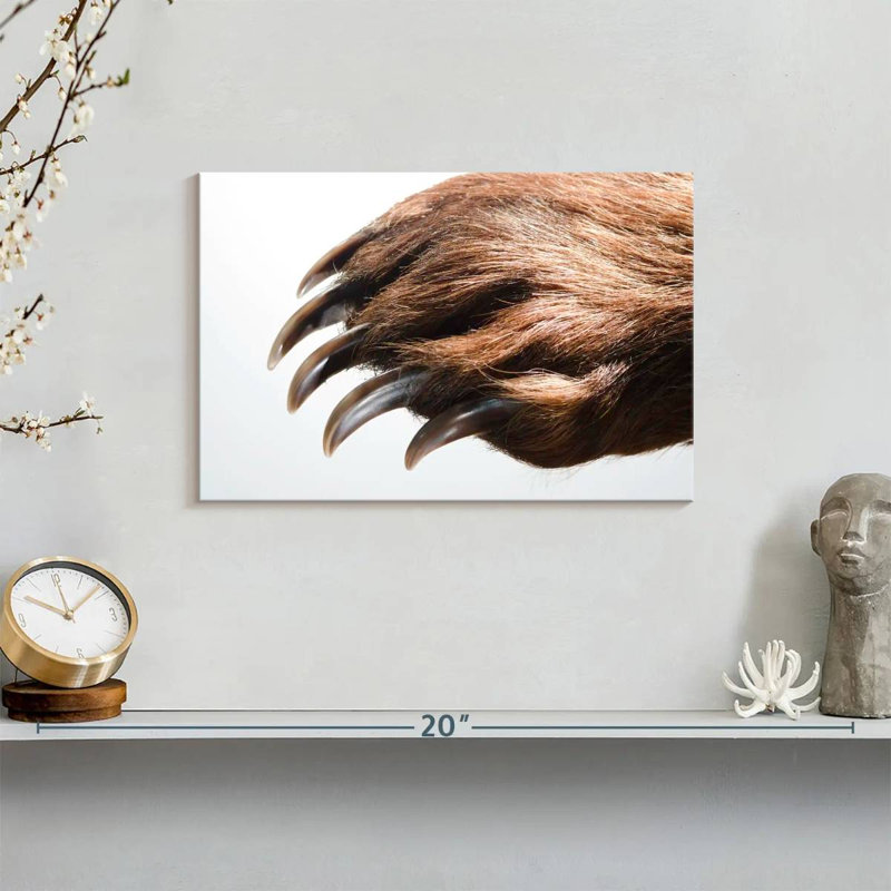 Brampt Brown Bear Claws, 8" H x 12" W