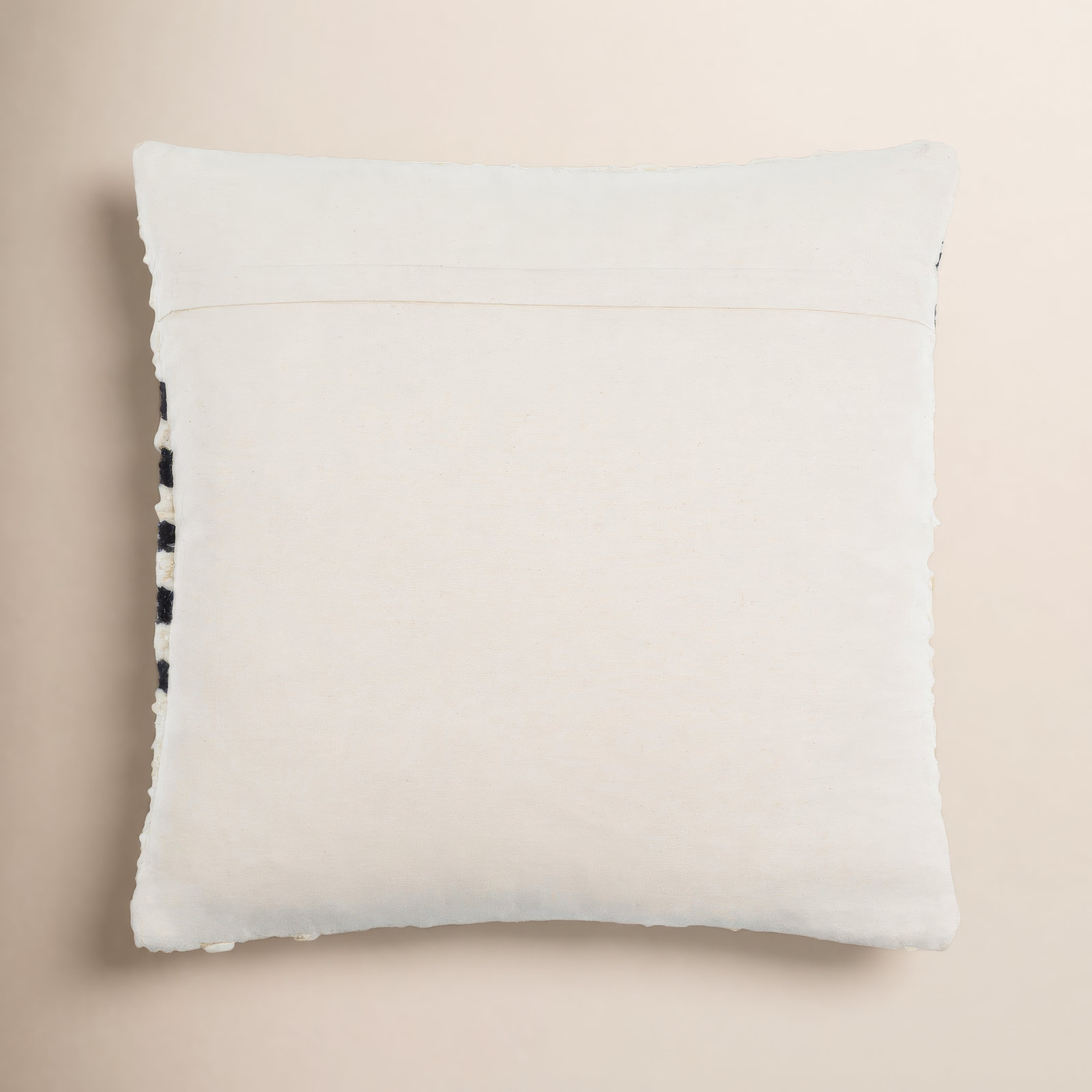 Blakesburg Throw Pillow, Polyester/Polyfill, 22" x 22"