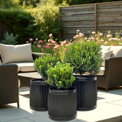 3 Piece Armano Belly Bucket Planters