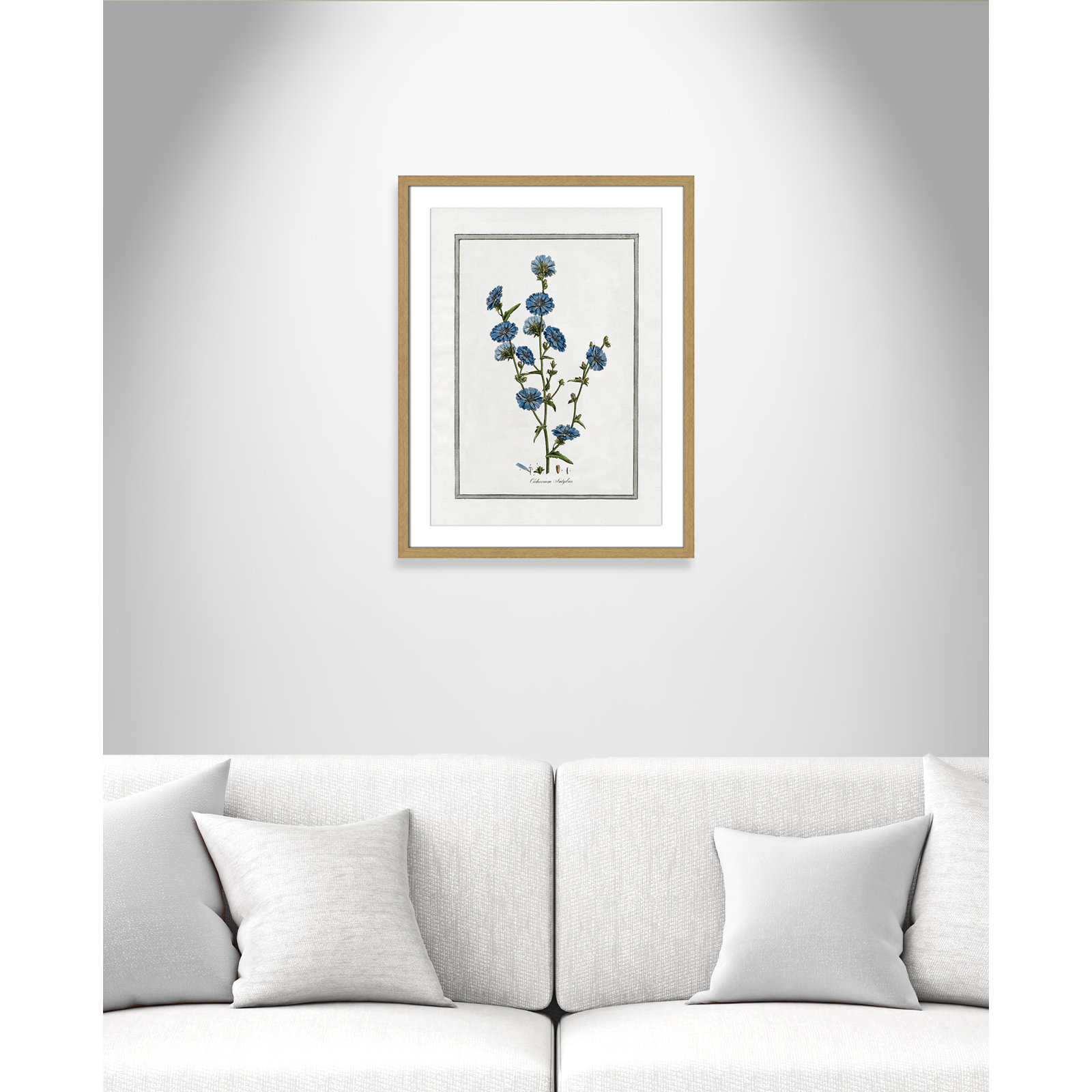Colombe "Soft Botanical I" Print, 17" W x 23" H, Natural Framed