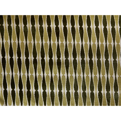 Dragonfly Fabric