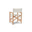 Folding Director Chair-113112992