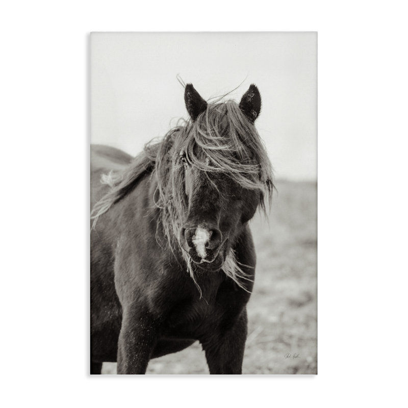 Art mural sur toile Wild Pony with Windy Mane, design par Deborah Revell, H 36 po x l 24 po