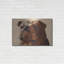 «Bulldog» par Thomas Fluharty-952851620
