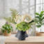 Arrangement organique moderne dans un pot