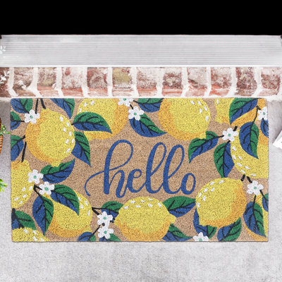 Tapis d'entrée antidérapant Hello Lemon 30 po x 18 po