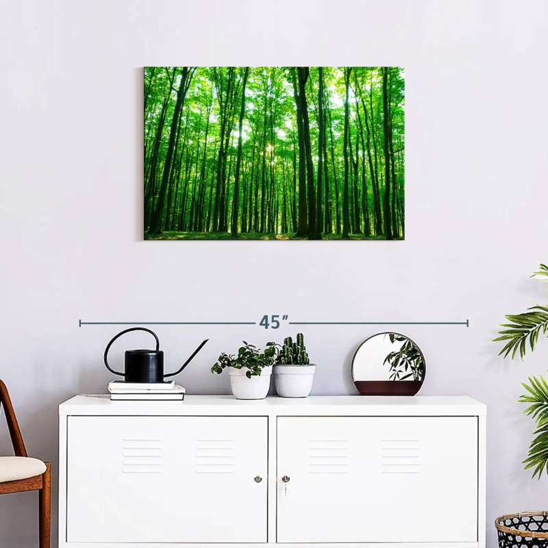 Alvord ensoleillé vert forêt, H 20 po x l 30 po