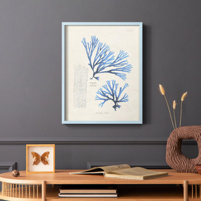 Blue Marine Algae V Framed Print - Solid Wood