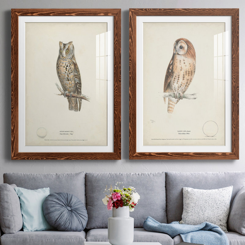 Scops - Earl Owl Premium encadré mat - prêt à être accroché, H 24 po x l 20 po x P 1 po, Érable