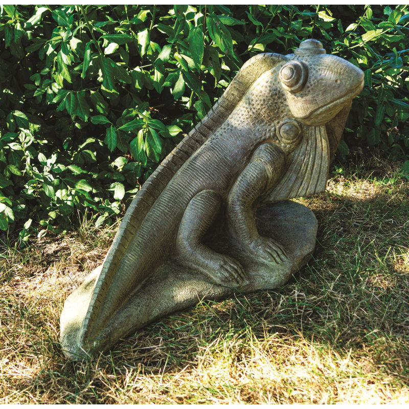 Iguane ensoleillé