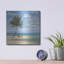 «Inlet Palm I» par Paul Brent-730029404