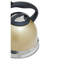 Belfry Kitchen Peniste 3L Stainless Steel Whistling Stovetop Kettle-856247867