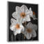 Monochromes blancs jaunes botaniques jonquilles I - jonquilles murales-1638424062-1638424052