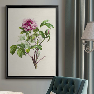 " Pretty Pink Botanicals V "