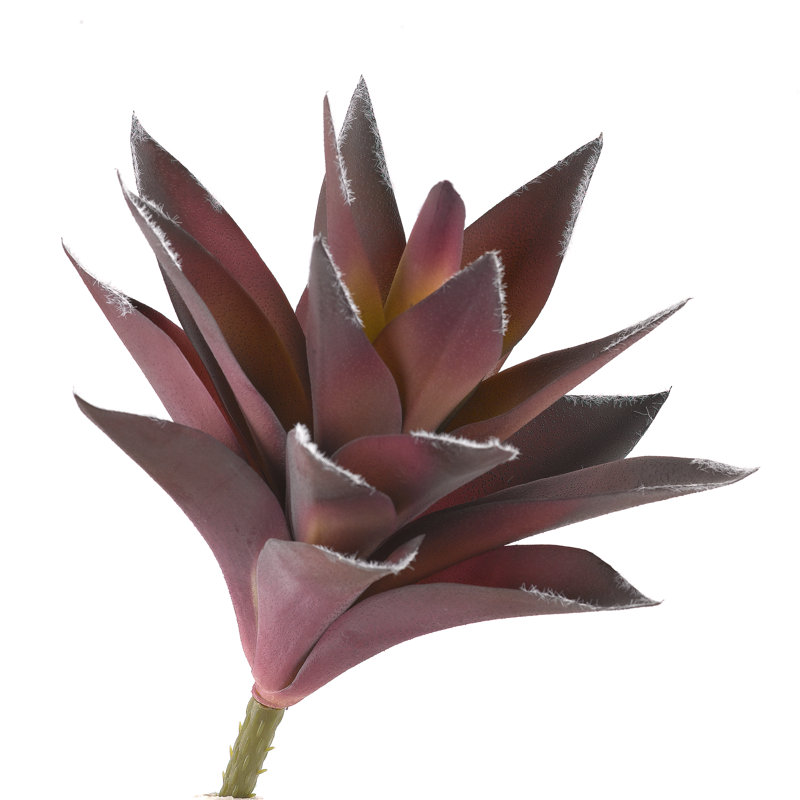 Grande plante d'aloès, H 10 pi x l 8 po x P 8 po, Lavande