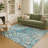 Machine Washable Indoor/Outdoor Chantille ACN2335 Paisley Rug-242006363