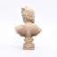 Beige Greco-Roman Classical Bust Sculpture – Resin Decorative Accent (30 cm) 