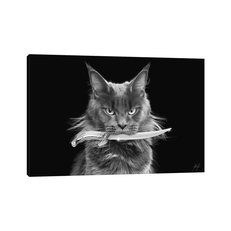 Killer Cat II by Kathrin Federer - Wrapped Canvas Print, 45.72cm H x 66.04cm W x 1.91cm D
