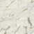 Calacatta Oro selected