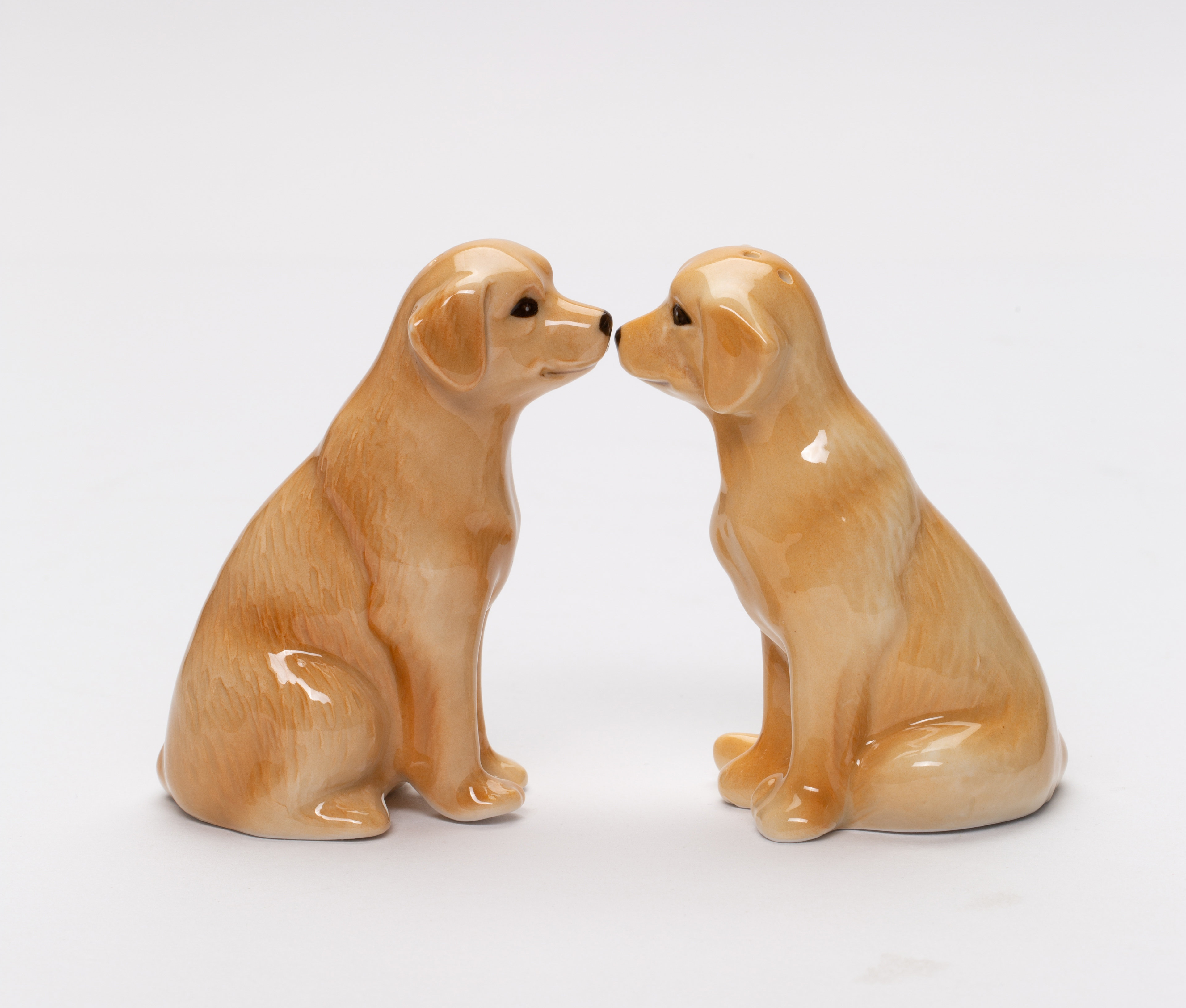 Cosmos Gifts Labrador Salt And Pepper Shaker Set Wayfair
