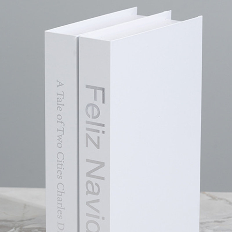 Ensemble de 12 faux livres en noir et blanc