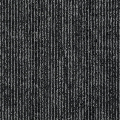 Apollo 24-in x 24-in Multi-Level Loop Adhesive Carpet Tile (48-sq ft)