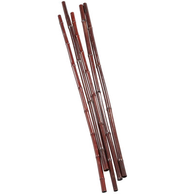 Dried Plant Sticks Decor Natural Foliage Set