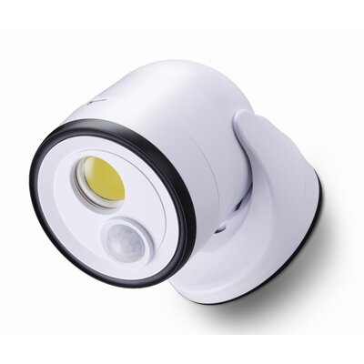 4-Watt LED Dusk to Dawn Flood Light with Motion Sensor -  FulcrumProductsInc, 33001-108