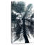 Palmier de Miami Beach-1849863028