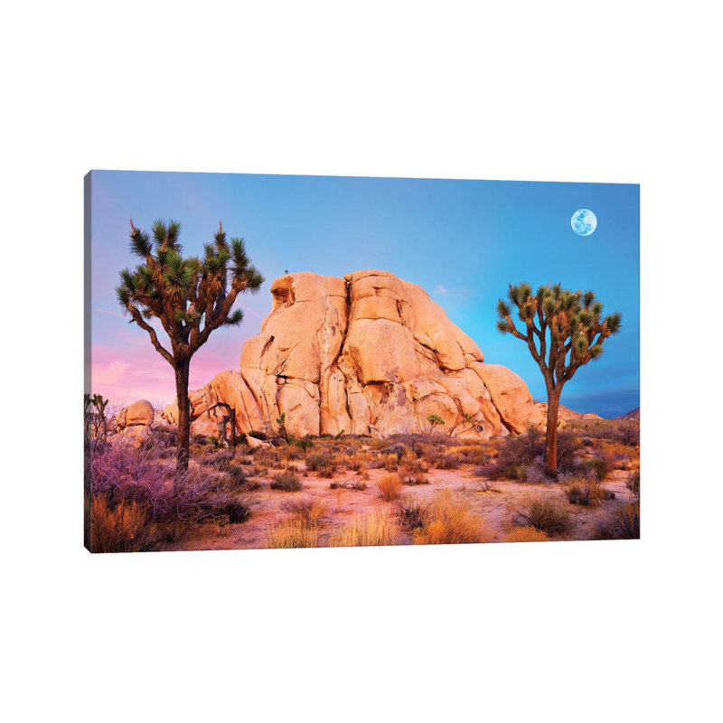 Joshua Tree National Park II by Susanne Kremer - Wrapped Canvas Gallery-Wrapped Canvas Giclée, 20.32 cm H x 30.48 cm W