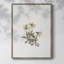 Impression florale vintage encadrée CL XXVI - bois massif-393432353