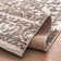 Anthonyville Oriental Indoor Rug