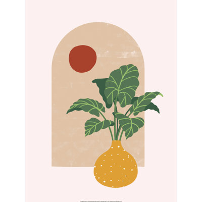 " Mod Plant And Sun "