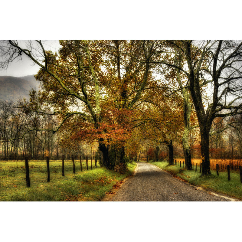 Rainy Morning On Sparks Lane by Danny Head - Wrapped Canvas Print, 30cm H x 46cm W