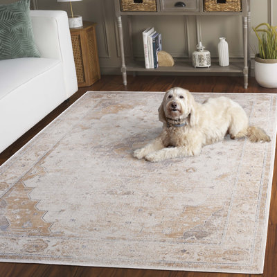 Tapis oriental performance Pelluri