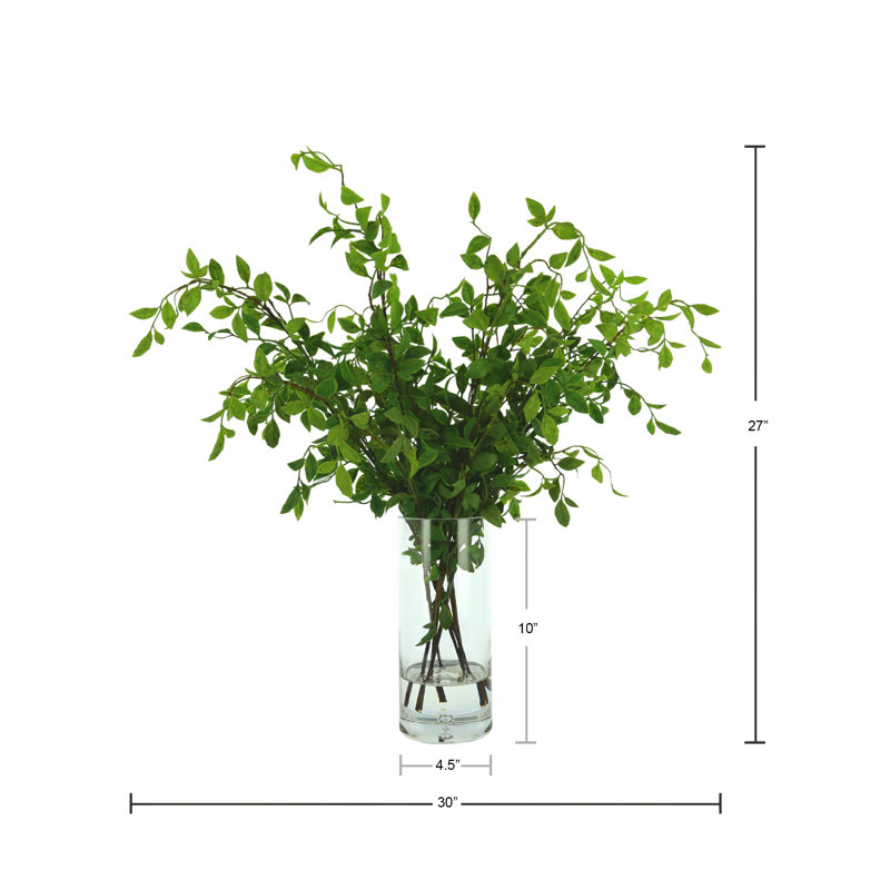 Fausse plante lierre moderne biologique Milan