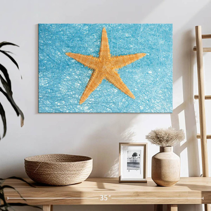 Unique starfish Aletra, H 16 po x l 24 po