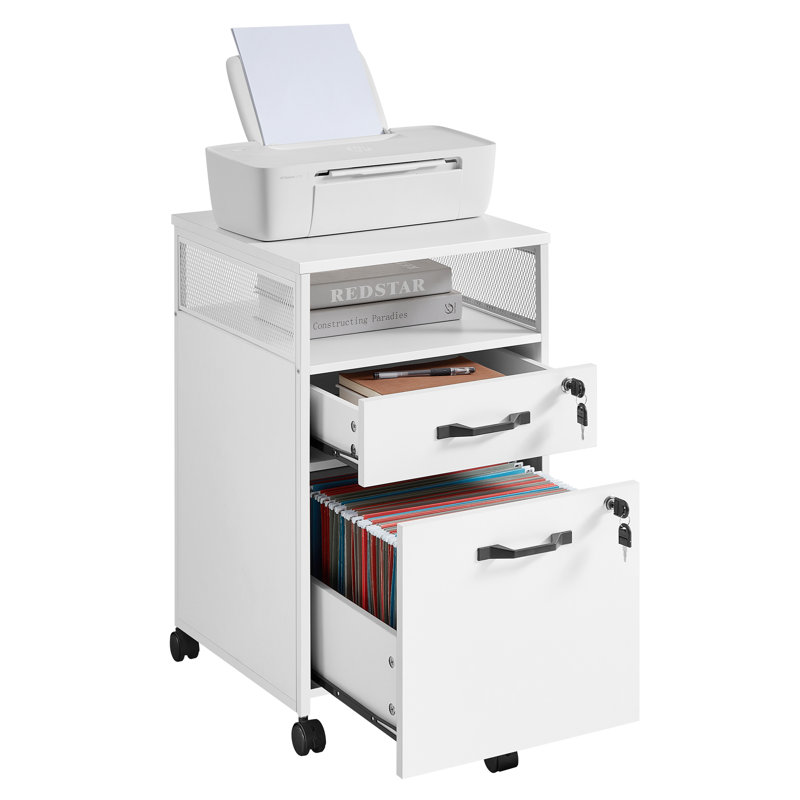 Annya 2 Drawer Filing Cabinet, White