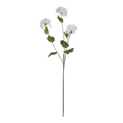 Anastasija Arrangement