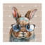 Buster Rabbit-806412791