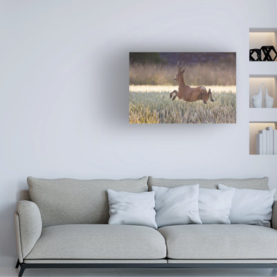 «Allan Wallberg Deers Flying Over The Cornfield», art sur toile
