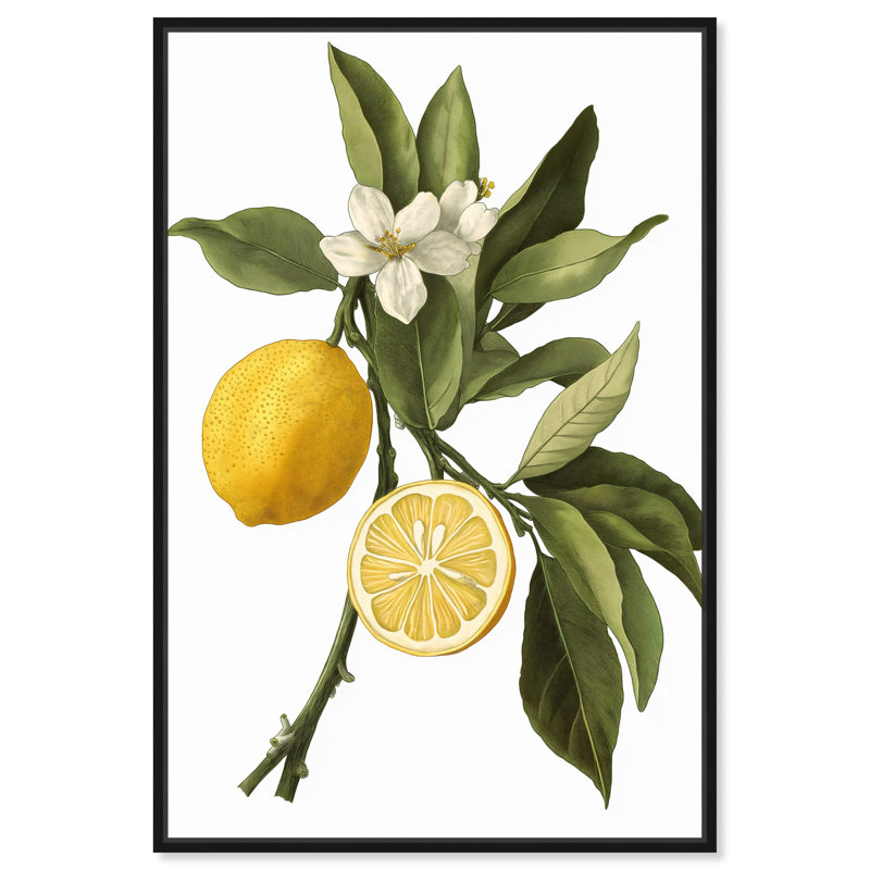 «Leafy Infusion», reproductions d'art sur toile par Art Remedy, Cadre flottant noir, H 16 po x l 11 po