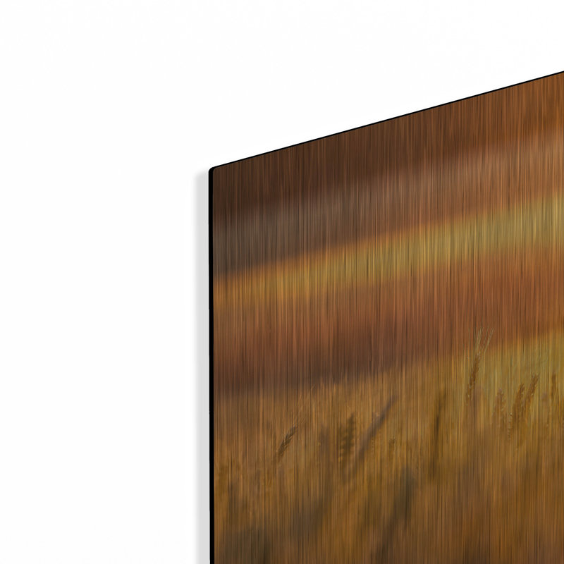 «Golden Wheat» par Jonathan Ross, H 12 po x l 24 po