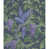 Green/Purple